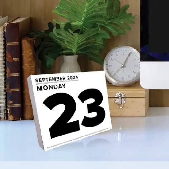 Willow Creek Press 2024 Daily Desk Calendar 5.2"x6.2" Big Day image {3}