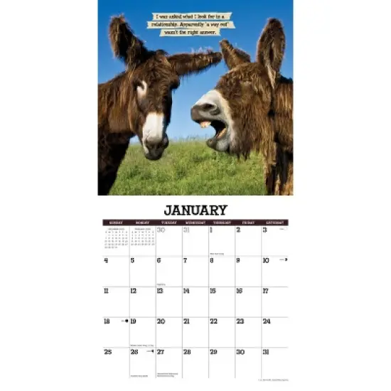 Willow Creek Press 2026 Sassy Jackassy Wall Calendar image {2}