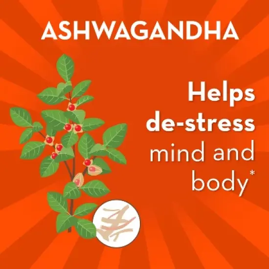 Align De-Stress Daily Probiotic Supplement - Capsules - 21ct image {3}
