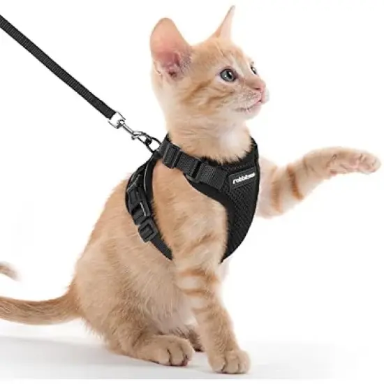 rabbitgoo Cat Harness and Leash for Walking image {1}