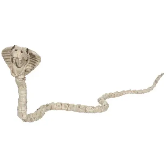 Seasons USA Cobra Skeleton Halloween Decoration - 39 in x 4 in - Off-White image {1}