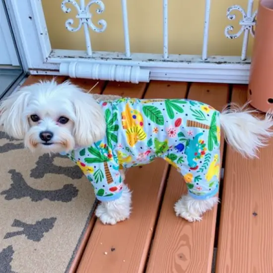 Paaaawaters Dog Jumpsuit Cute Animal Print Puppy Pajamas Soft Lightweight Post Surgery Recovery Pets Onesie image {7}