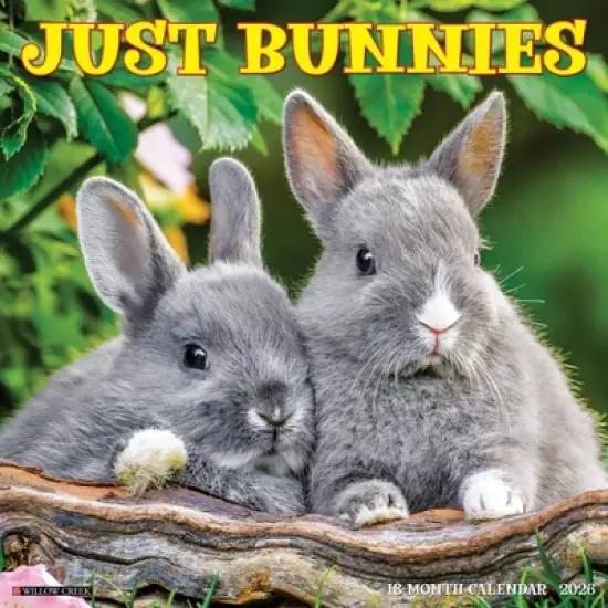 Willow Creek Press 2026 Bunnies Wall Calendar image {5}