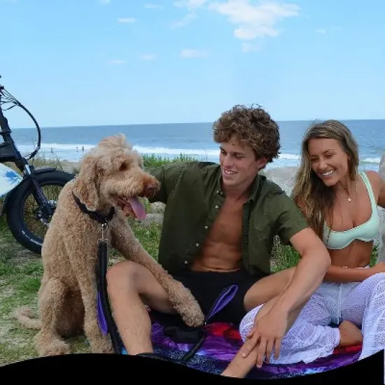 Black Rhino 6ft Dog Leash with Two Traffic Padded Comfort Handles for Safety Control Training - Purple image {1}