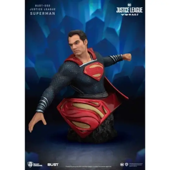 Warner Bros Justice League Series-Superman (Bust) image {4}