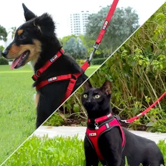 Pawtitas Solid Color Dog & Puppy Leash &ETH; 6FT Durable Lead image {1}