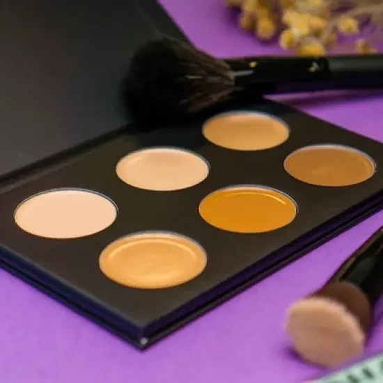 SHANY Mini Masterpiece Makeup Palettes - Refills image {6}