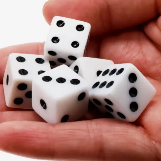 WE Games Dice Cup Set - 4 Professional Grade Plastic with 20 Dice and Instructions for Liar's Dice Plus 10 Different Games image {2}