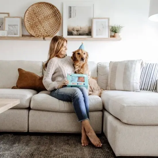 ZippyPaws Display Birthday Box Dog Toy - 3pk image {3}