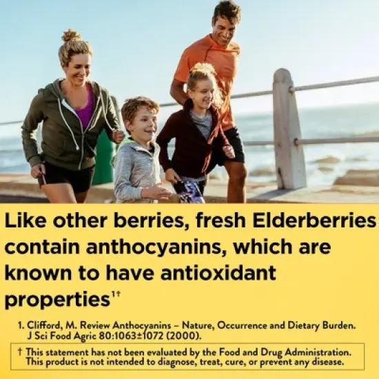 Nature Made Elderberry Capsules - 60ct image {3}
