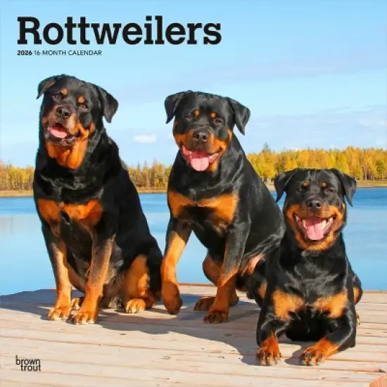 BrownTrout Rottweilers 2026 12"x24" Hanging Square Wall Calendar Plastic-Free image {9}