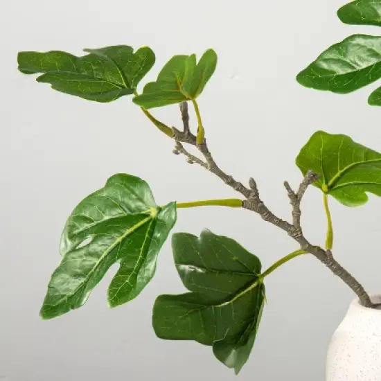 Faux Fig Leaf Branch Arrangement - Hearth & Hand&trade; with Magnolia image {2}