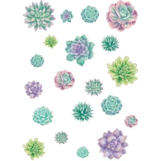 Teacher Created Resources Rustic Bloom Succulents Accents Assorted Sizes 60 Per Pack 3 Packs image {1}