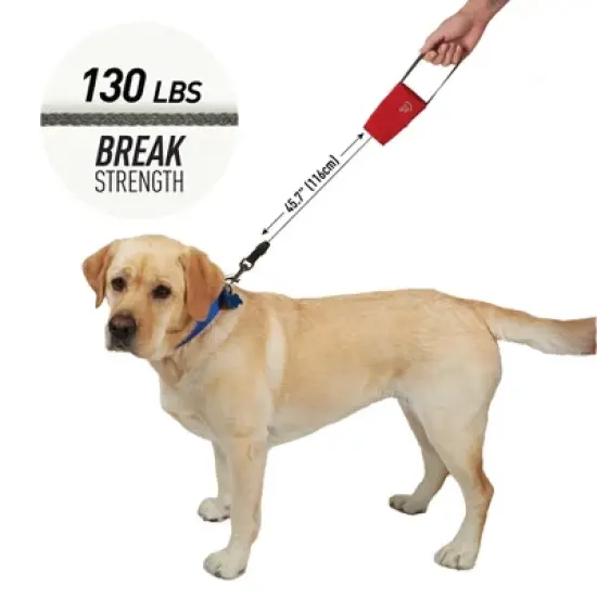 Nite Ize RadDog Retractable Pocket Leash - Red - Large image {3}