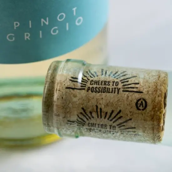 Open Skies Pinot Grigio - 750ml Bottle image {3}