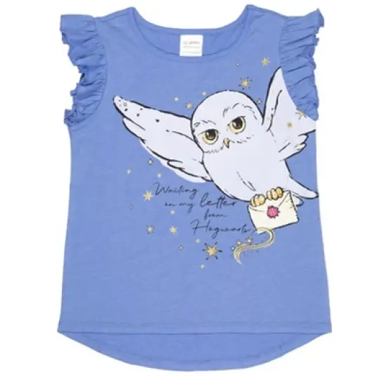 Harry Potter Hogwarts Hedwig Owl 2 Pack Graphic T-Shirts Maroon / Blue  image {4}