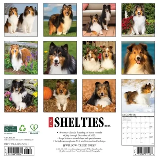Willow Creek Press 12"x12" 2026 Shelties Wall Calendar image {1}