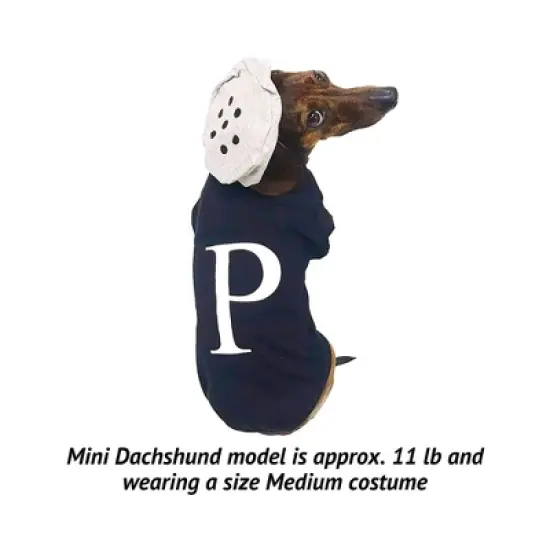 Midlee Salt & Pepper Dog Costume image {1}
