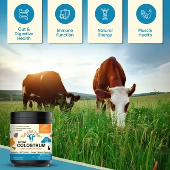 Sandhu's Grass Fed Bovine Colostrum Powder For Women & Men | 65 Servings High IgG Supplement For Immune & Gut Health Support image {10}
