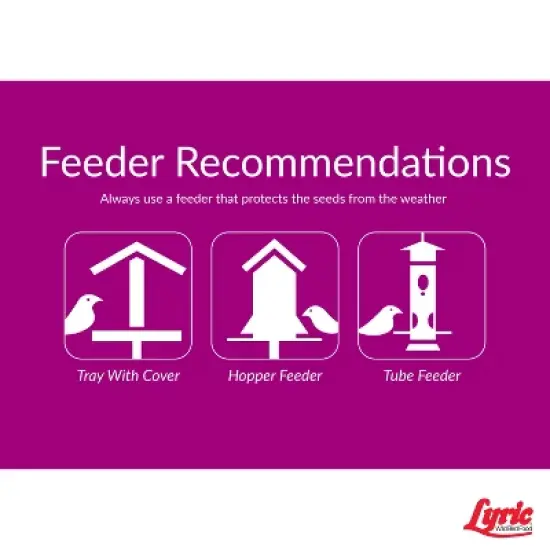 Lyric Sunflower Kernels Wild Bird Seed for Outside Feeders, No Waste Bird Food, Attracts Finches and More, 25 lb Bag image {5}