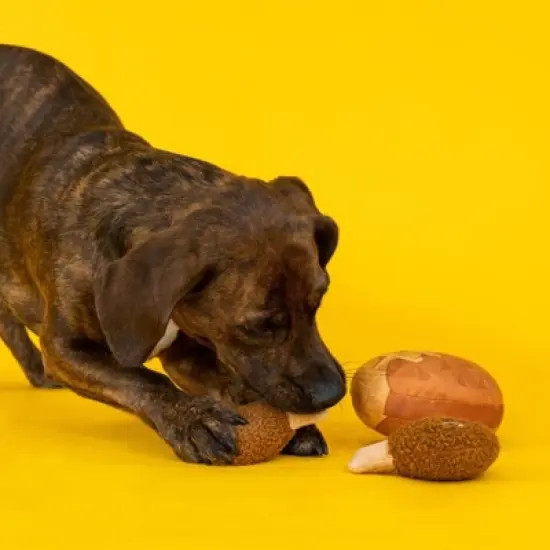 PetShop by Fringe Studio Waffle and Chicken Dog Toys - 3pk image {9}