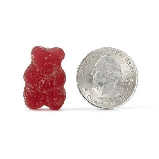 Digestive Advantage Probiotic Gummies - Fruit Flavors image {2}