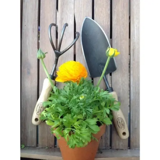 Tierra Garden Trowel image {7}