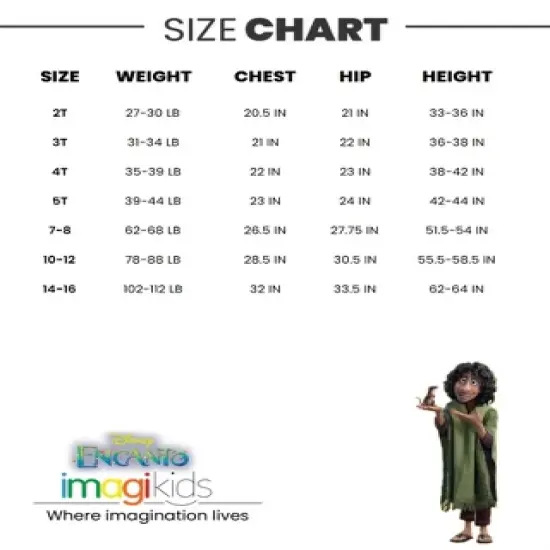 Disney Encanto Bruno Fleece Pullover Hoodie Toddler to Big Kid image {5}