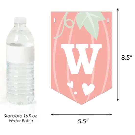 Big Dot of Happiness Girl Little Pumpkin - Fall Baby Shower Bunting Banner - Party Decorations - Welcome Baby image {2}