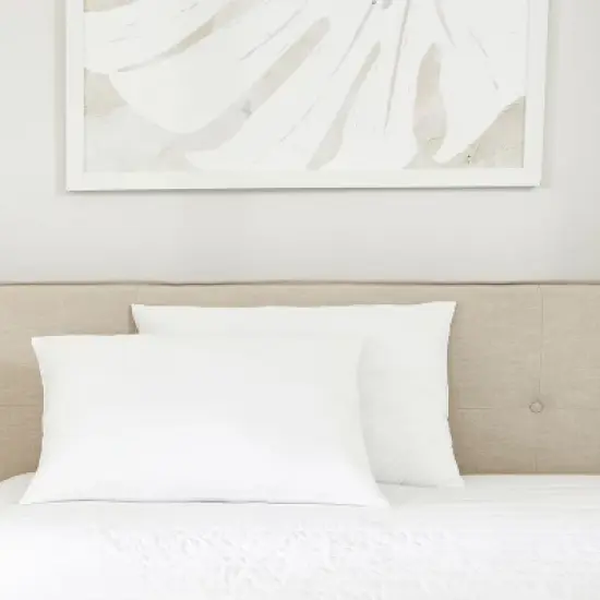 2-Pack Plush Bed Pillows Set - Soft Cover & Fill, Hypoallergenic, Gentle Support, King & Standard/Queen - Becky Cameron image {12}