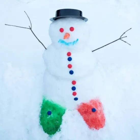 Snow Sector Snow Man Kit image {9}
