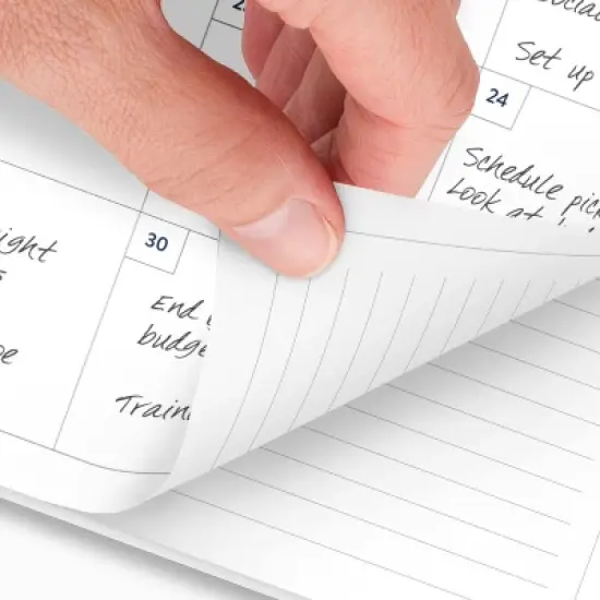 AT-A-GLANCE Emily Ley Large 2025-2026 Weekly/Monthly 11"x9.375" Printed Poly Happy Stripe image {5}