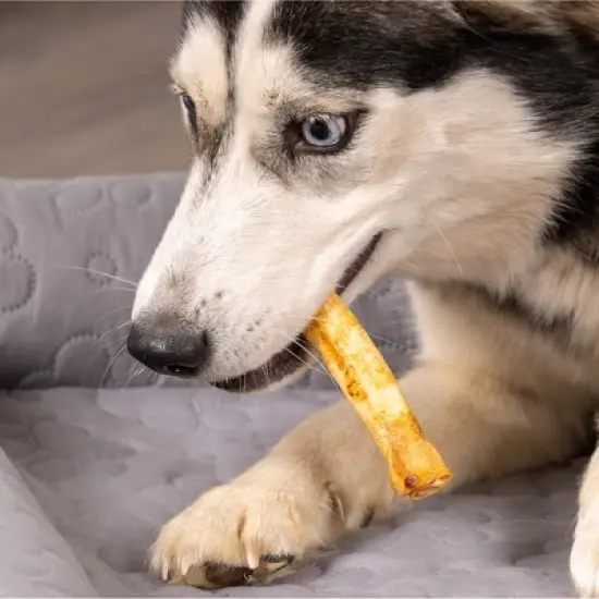 Pet Factory Made in USA Beefhide Chip Rolls - 5" image {5}