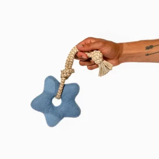 AWOO Comet's Tail Dog Toy image {1}