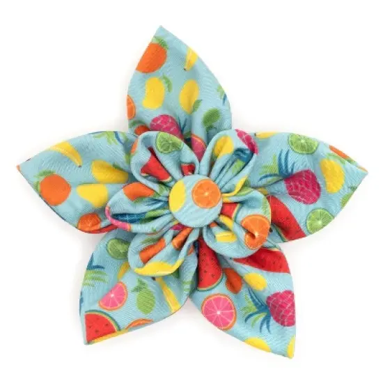 The Worthy Dog Tutti Frutti Adjustable Flower Accessory image {4}