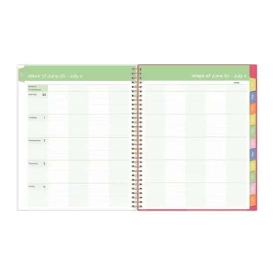 Blue Sky 8.5"x11" 2025-2026 Weekly/Monthly Wirebound Teacher Lesson Planner Printed Apple Sketch, Teacher Supplies image {4}