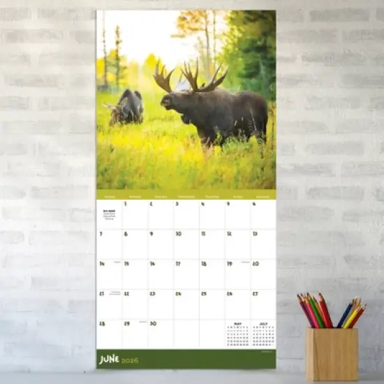 TF Publishing 13.5"x14.5" 2026 Wild Wall Calendar image {2}