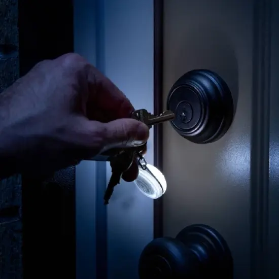 Nite Ize SpotLit Rechargeable Carabiner Light Disc-O Dog Collar image {9}