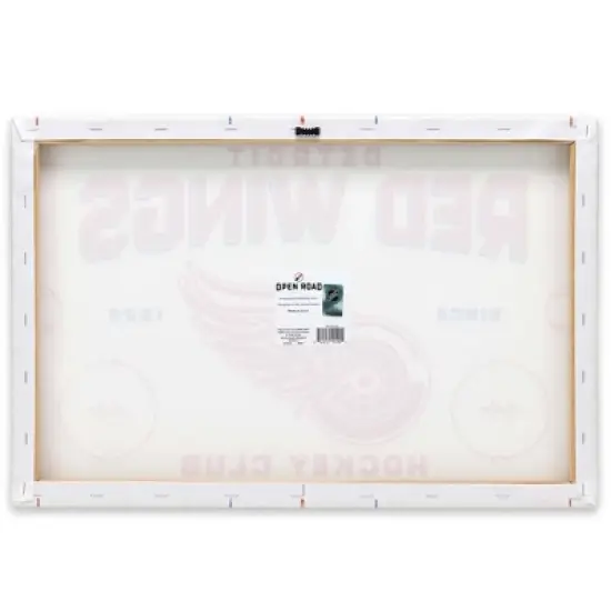NHL Detroit Red Wings Rink Canvas image {2}