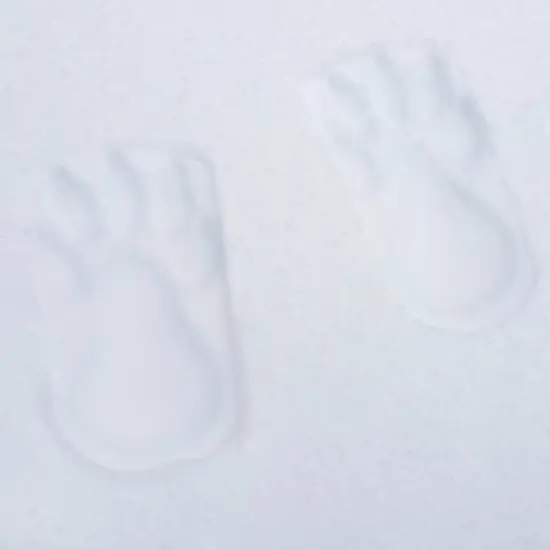 Snow Stampers - Bear Feet image {5}