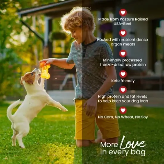 Muenster Perfect Balance Beef Flavor Freeze Dried Dog Treats - 4oz image {6}