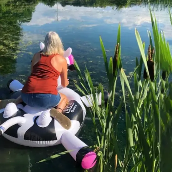 Swimline 54" Inflatable Ride-On Cow Novelty 2-Person Swimming Pool Float - Black/White image {3}