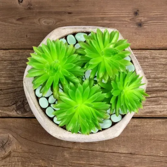 Nature Spring Glow in the Dark Solar-Powered Garden Stones - 200-pc image {4}