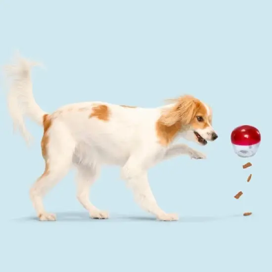 BARK Super Chewer Vino Vidi Vici Dog Treat Dispenser Toy image {3}