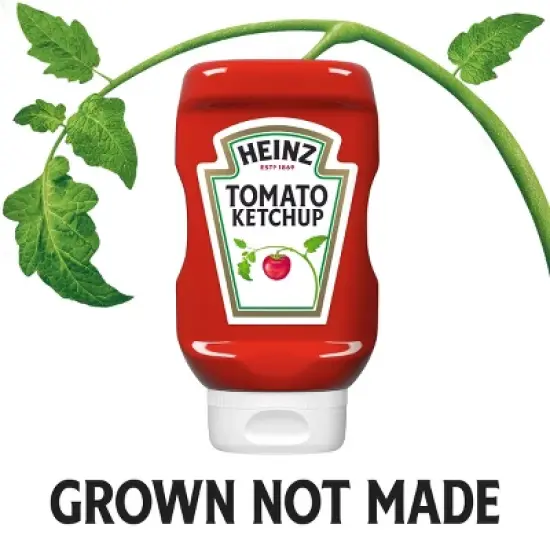 Heinz Ketchup - 14oz image {4}