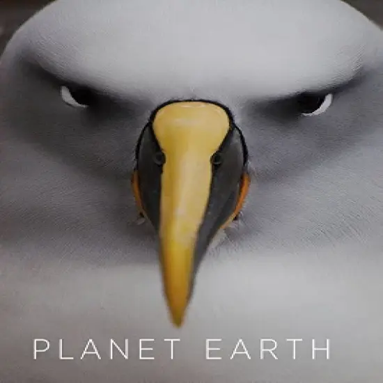 Planet Earth I & II (DVD) image {1}