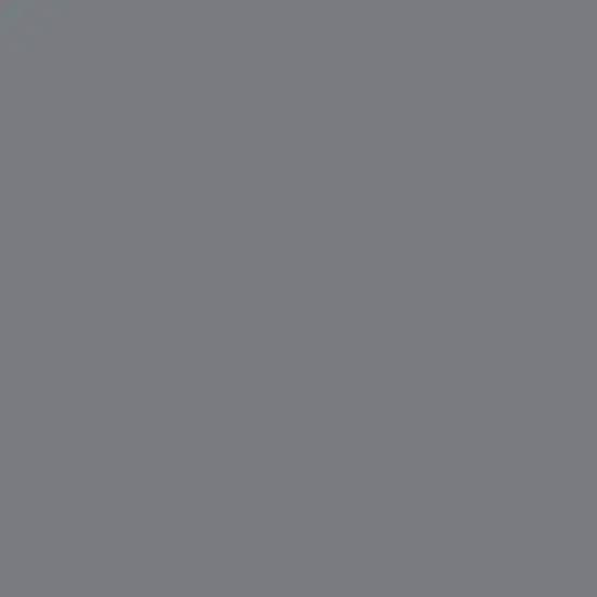 Rachael Ray Premium RUST-RESISTANT Cast Iron Skillet 10" Gray image {7}