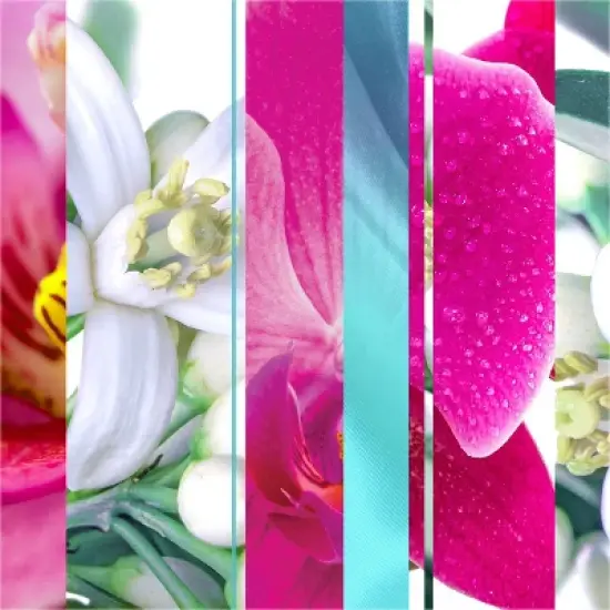 Glade Automatic Spray Air Freshener Refill Orchid & Neroli - 6.2oz image {1}