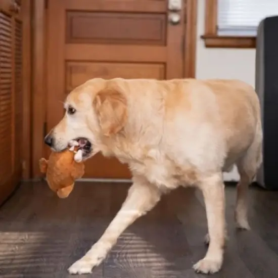 Midlee Roasted Thanksgiving Turkey Plush Dog Toy image {5}