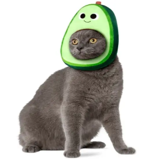 Rubies Yummy World Avocado Face Pet Headpiece Accessory image {1}
